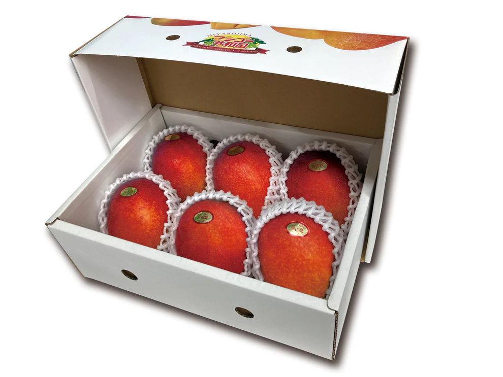 アーウィンマンゴー（アップルマンゴー）