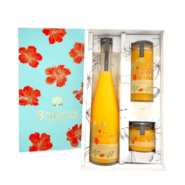 宮古産 マンゴギフトアソート