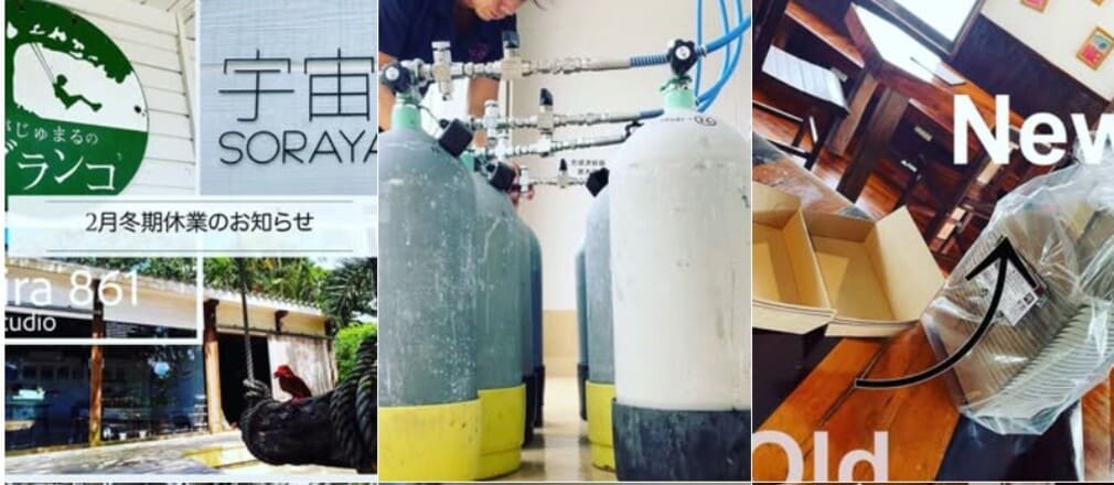 がじゅまるのブランコInstagram公式の画像