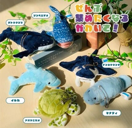 沖縄美ら海水族館オリジナルキーホルダーの画像
